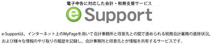 e-support